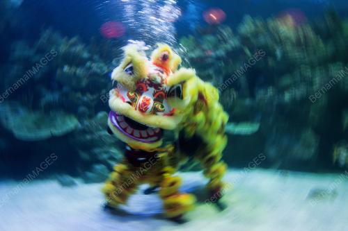 KL35_27012017_AQUARIA
