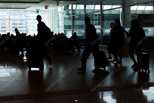 WARGA KOTA PULANG KE KAMPUNG HALAMAN