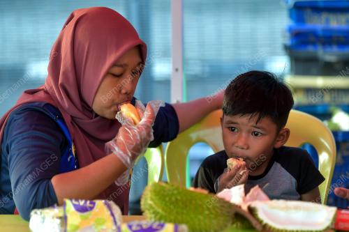 MUSIM DURIAN