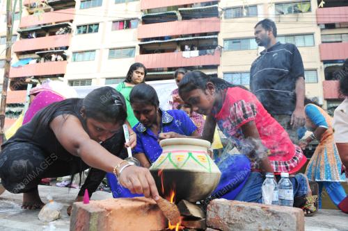 KL36_01022012_PONGGAL