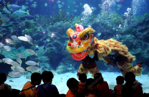 TARIAN SINGA DI AQUARIA KLCC