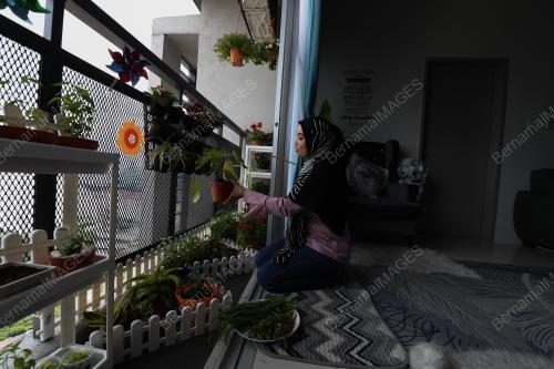 MINI_KEBUN