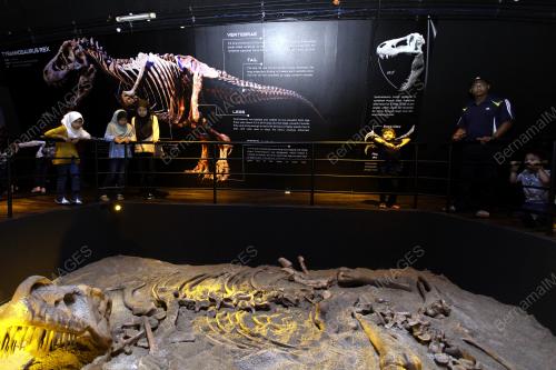 PAMERAN DINOSAUR ENCOUNTER