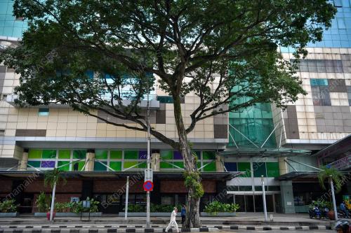 TINJAUAN POKOK BERUSIA