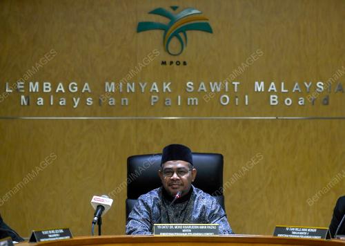 DATUK DR MOHD KHAIRUDDIN AMAN RAZALI