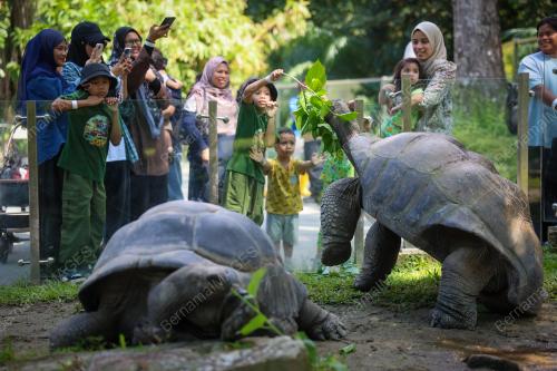 TINJAUAN CUTI HUJUNG MINGGU DI ZOO NEGARA