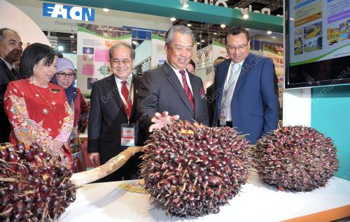 KL36_19112013_PIPOC_2013