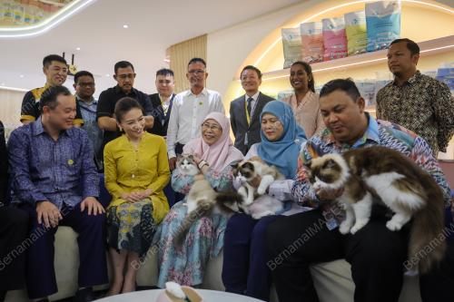 DATUK SERI DR WAN AZIZAH WAN ISMAIL