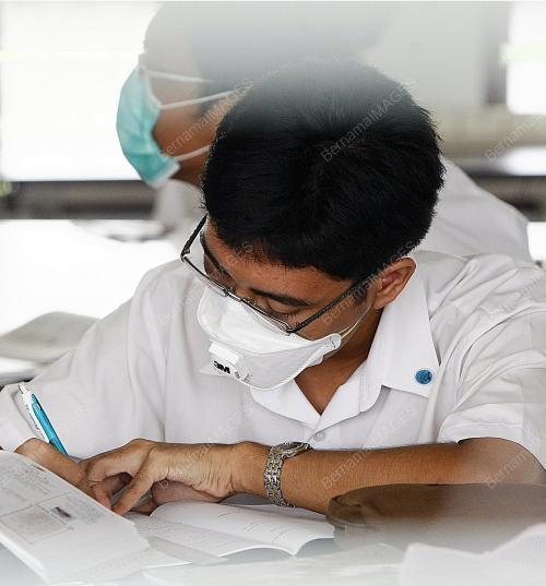 VIRUS H1N1
