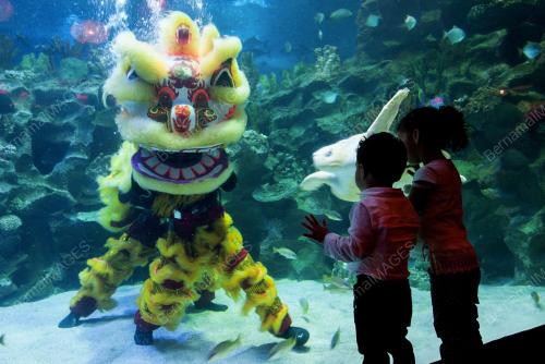 KL36_27012017_AQUARIA