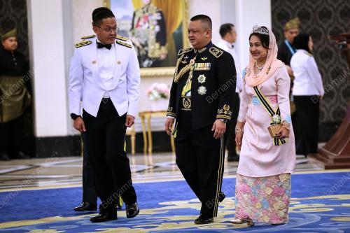 TUANKU SYED FAIZUDDIN PUTRA JAMALULLAIL