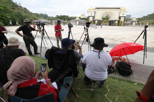 PENGAMAL MEDIA