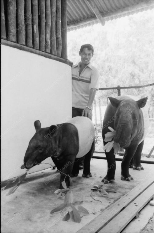 ZOO NEGARA