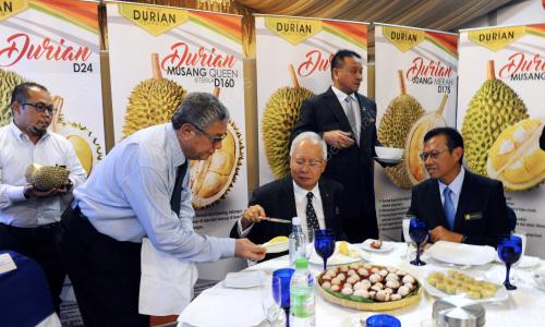 KL37_08082017_PM_DURIAN