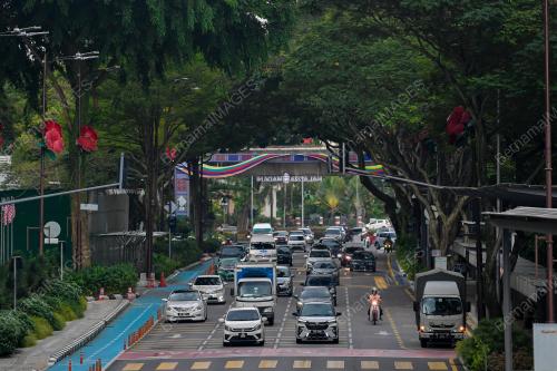 TINJAUAN POKOK BERUSIA