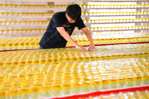TINJAUAN PERSIAPAN WESAK