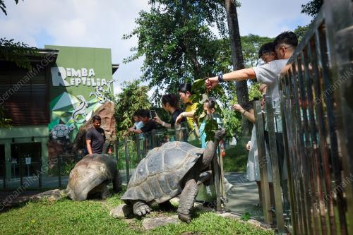 TINJAUAN CUTI HUJUNG MINGGU DI ZOO NEGARA
