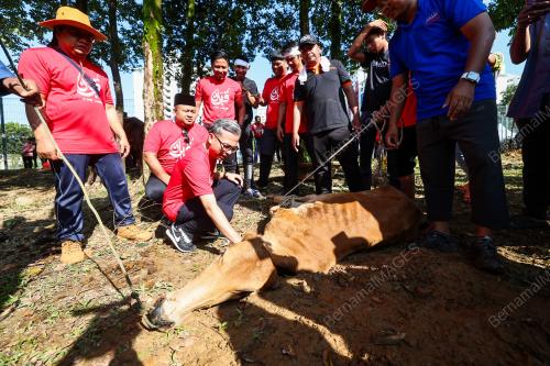 FAHMI FADZIL