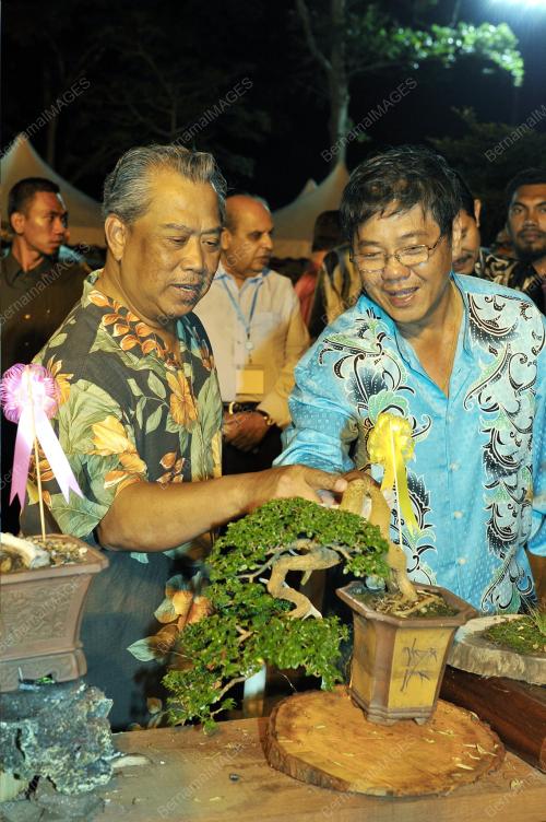 KL37_23052014_BONSAI