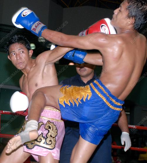 KL MUAY THAI