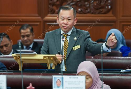DATUK CHAN FOONG HIN