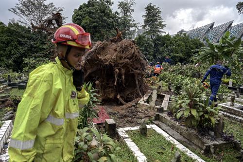 POKOK TUMBANG TANAH PERKUBURAN