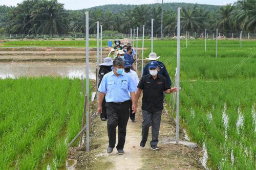 DATUK SERI DR RONALD KIANDEE