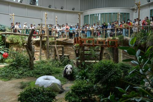 ZOO NEGARA