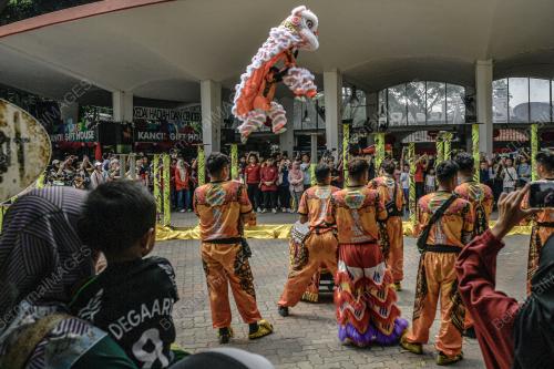 TARIAN SINGA ZOO NEGARA