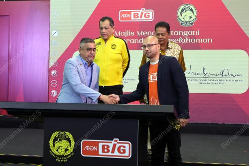DATUK HAMIDIN MOHD AMIN