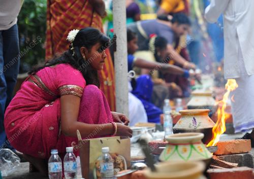 KL38_01022012_PONGGAL