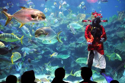 DEWA KEMAKMURAN DI AQUARIA KLCC