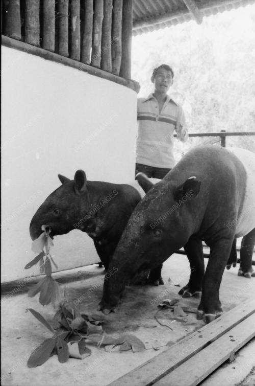 ZOO NEGARA