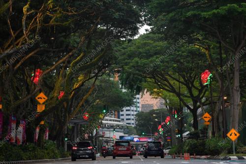 TINJAUAN POKOK BERUSIA