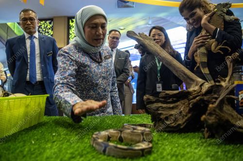 DATUK SERI NANCY SHUKRI