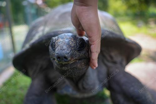 TINJAUAN CUTI HUJUNG MINGGU DI ZOO NEGARA
