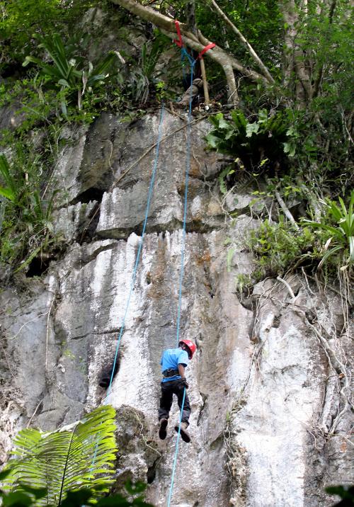 TAMAN RIMBA KENONG