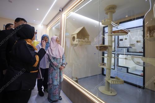 DATUK SERI DR WAN AZIZAH WAN ISMAIL