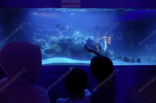 KL38_26112018_MAHA_BN201811214298