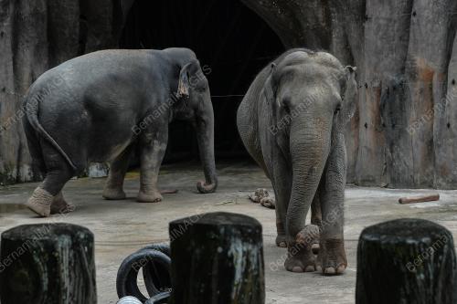 ZOO NEGARA