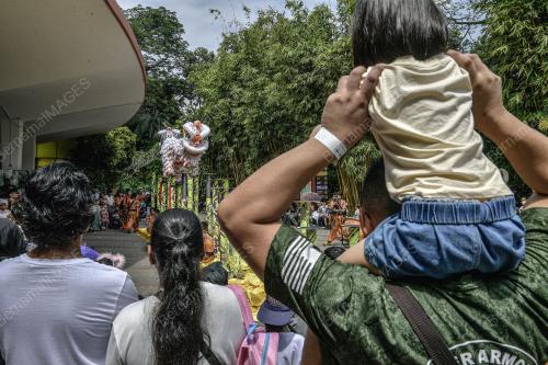 TARIAN SINGA ZOO NEGARA