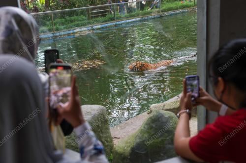 ZOO NEGARA