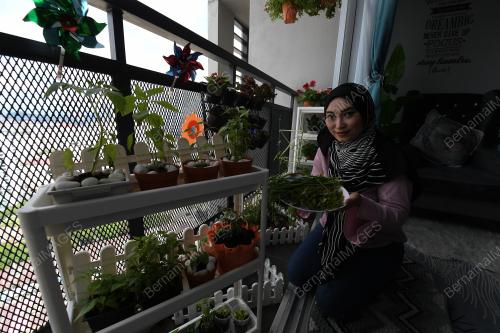 MINI_KEBUN