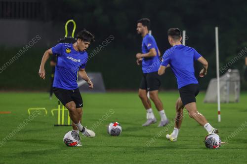 LATIHAN HARIMAU MALAYA