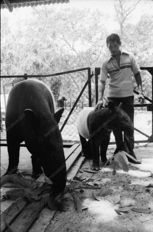 ZOO NEGARA
