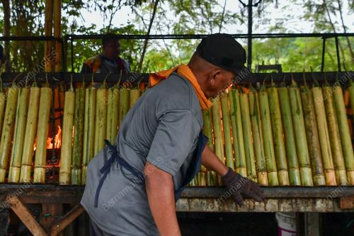 LEMANG DAUN LEREK BERATUR
