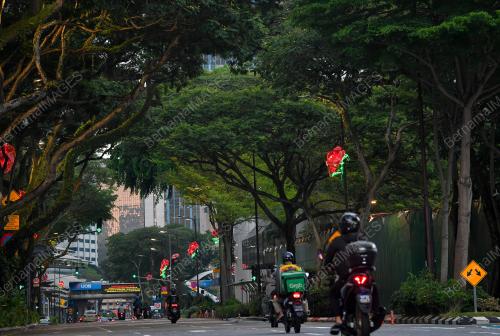 TINJAUAN POKOK BERUSIA