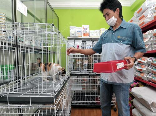 KL39_11082013_VETERINAR