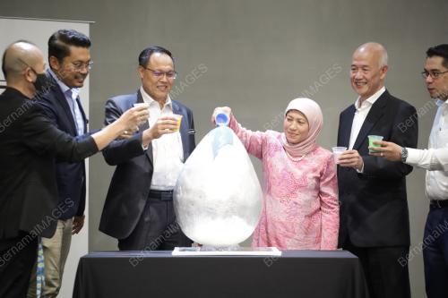 DATO SRI HAJAH NANCY SHUKRI