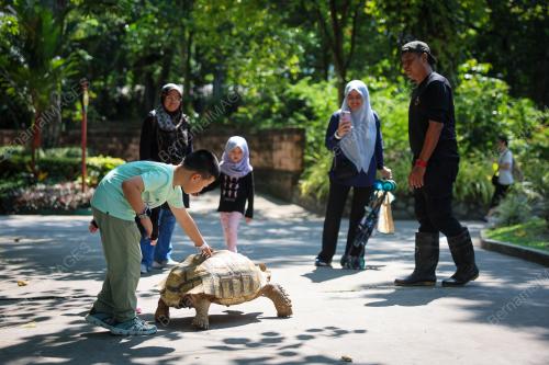 TINJAUAN CUTI HUJUNG MINGGU DI ZOO NEGARA